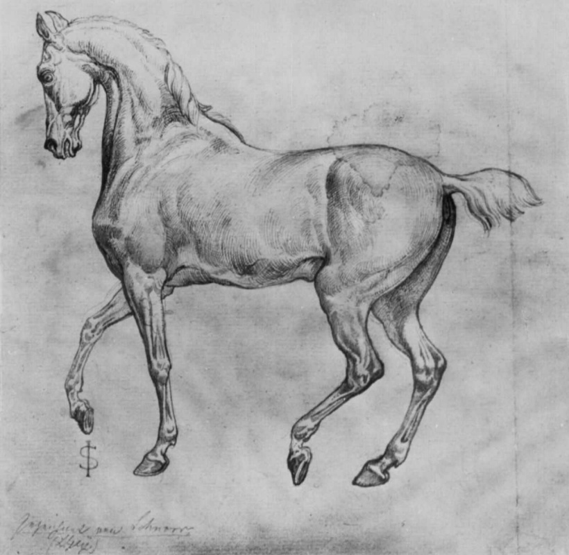 Julius Schnorr von Karolsfeld. Prancing horse