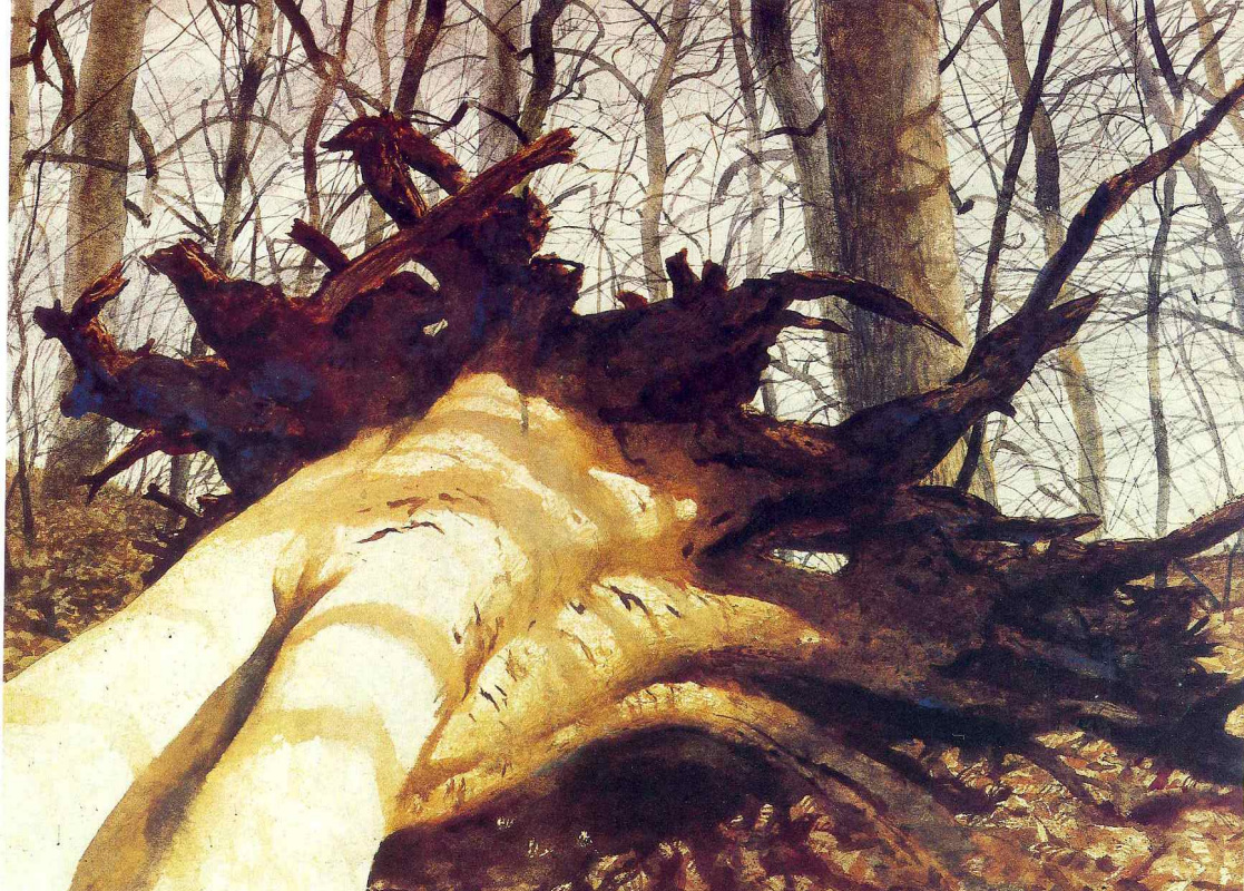 Jamie Wyeth. Fallen tree