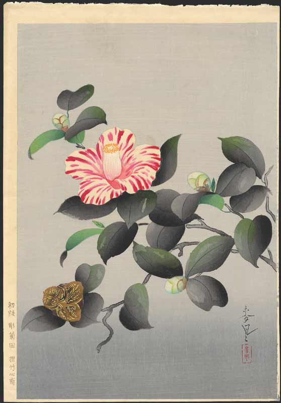 Baku Ono. Camellia