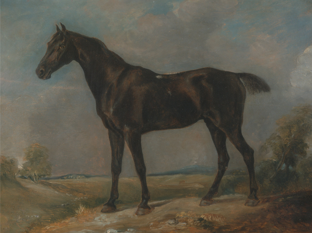 John Constable. Black riding horse