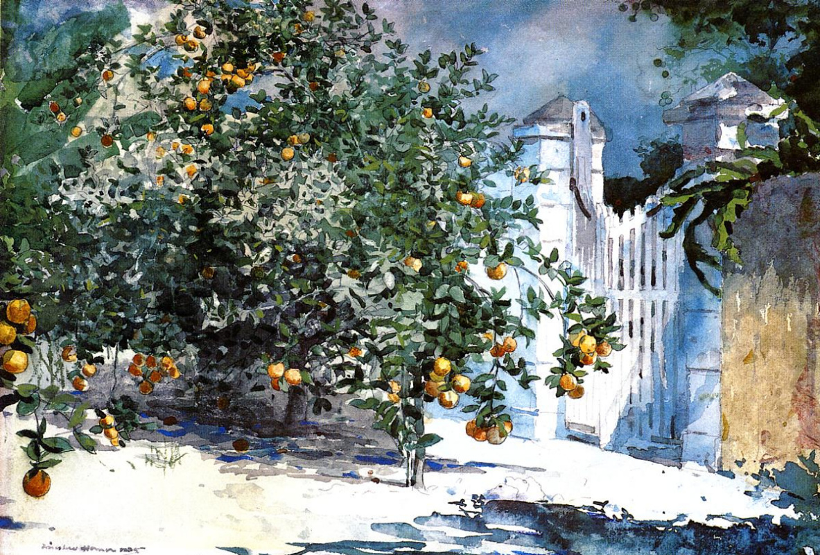 Winslow Homer. Orange tree, Nassau