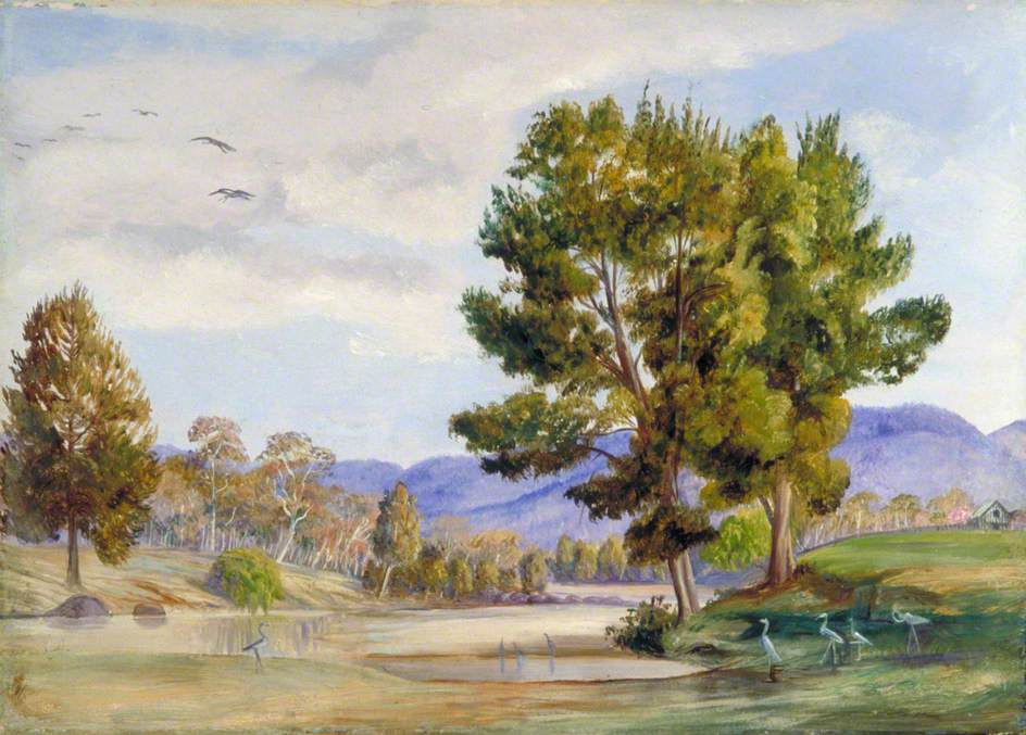 Marianna North. Oak trees and companion birds at the Bendamer River, Queensland