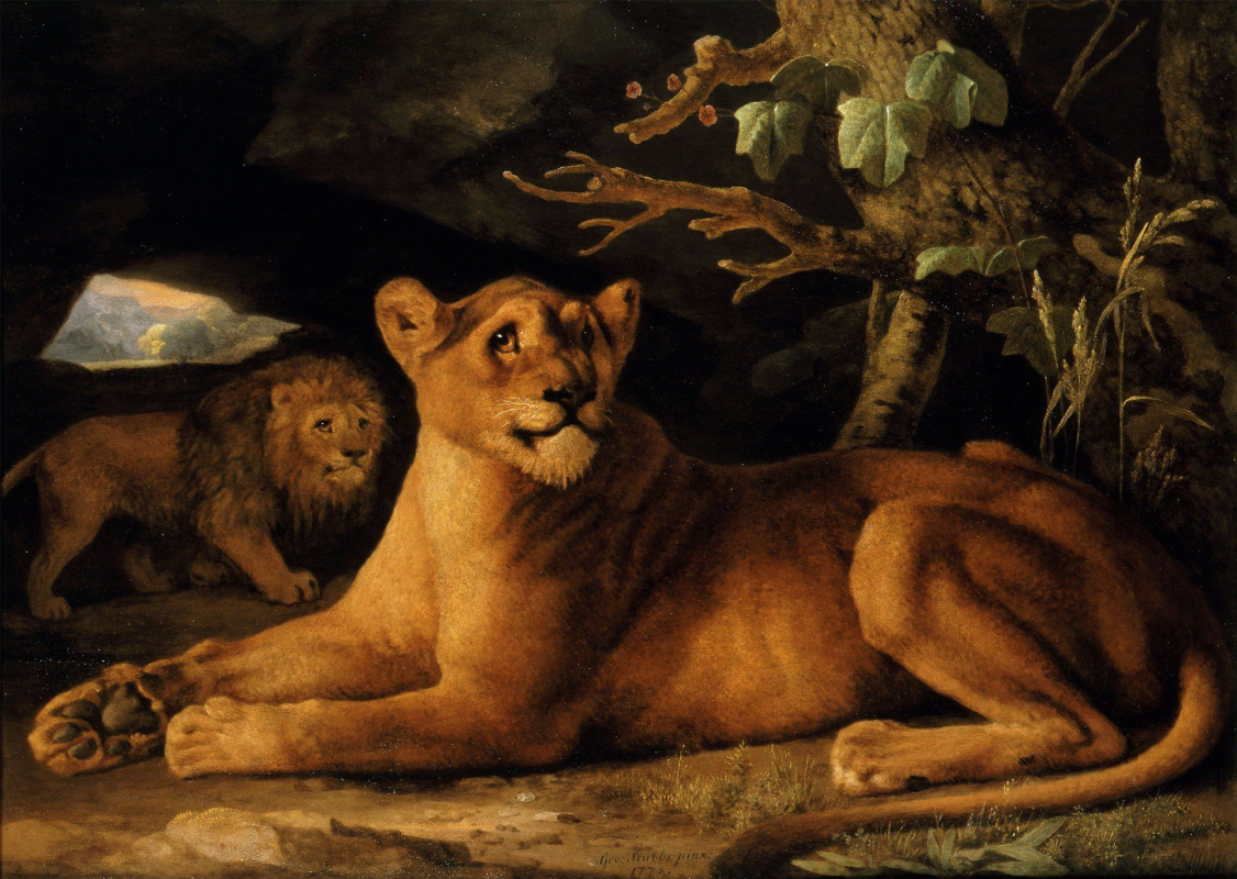 George Stubbs. Lion and lioness