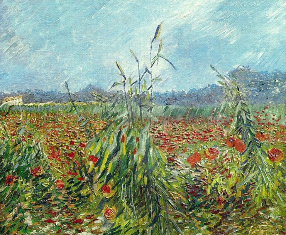 Вінсент Ван Гог. Зеленые колосья пшеницы