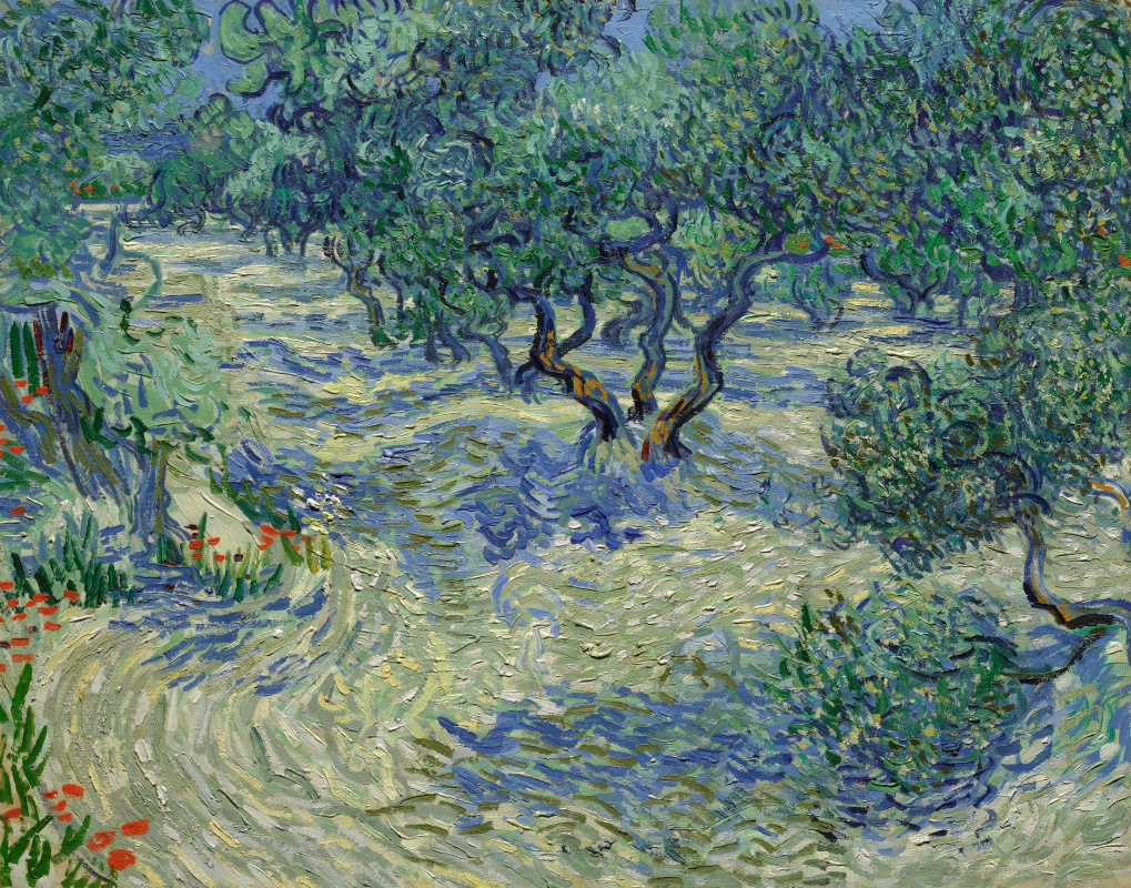 Vincent van Gogh. Plantation of olive