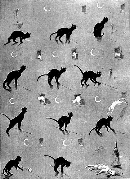 Theophile-Alexander Steinlen. Cat drama