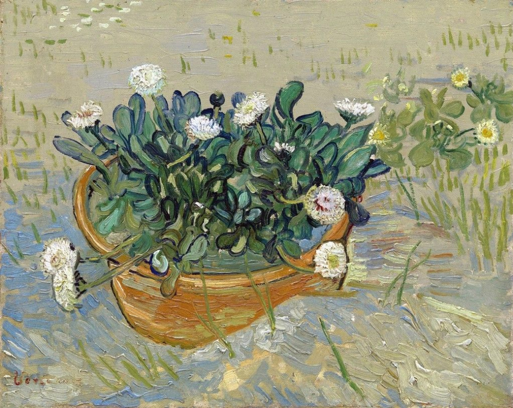 Vincent van Gogh. A pot of daisies