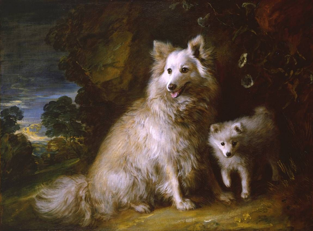 Thomas Gainsborough. Two dogs – beach and poppy (Pomeranian female puppy)