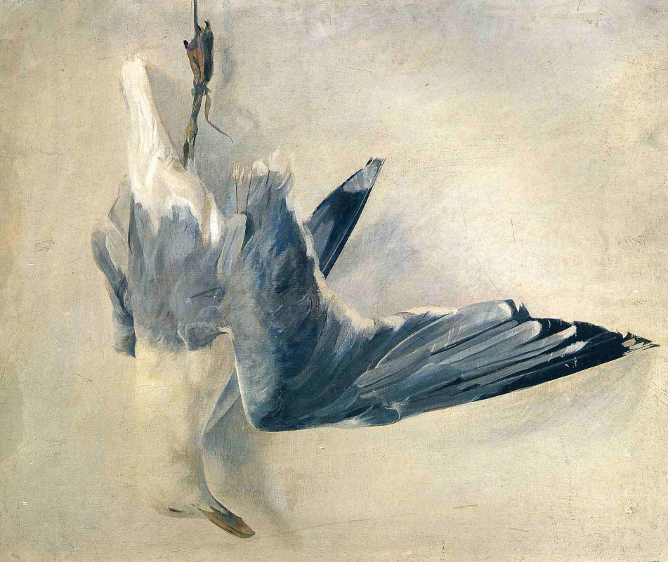 Andrew Wyeth. Dead Seagull