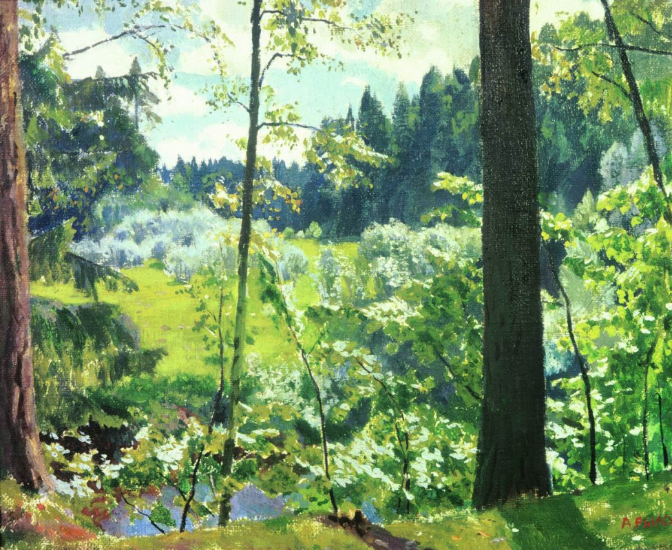 Arkady Alexandrovich Rylov. Encaje verde