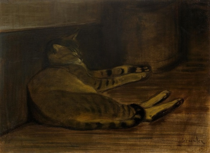 Teofilo-Alessandro Stainlin. Dormienti al muro gatto