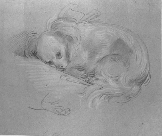 Thomas Gainsborough. Spaniel puppy