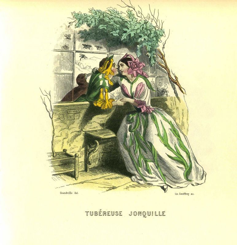 Jean Ignace Isidore Gérard Grandville. Tuberose. The series "Animate Flowers"