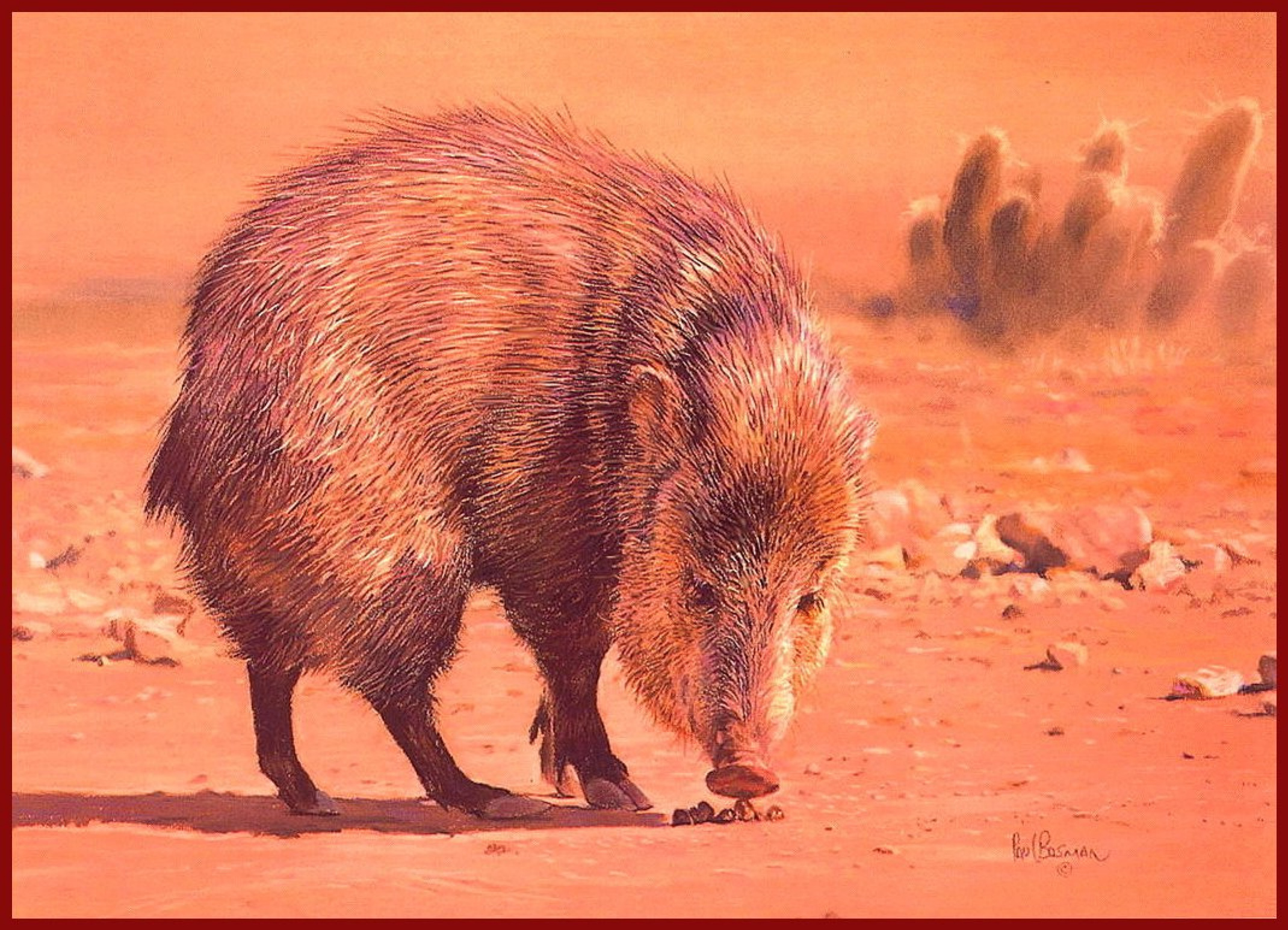 Javelina by Sex Bosman: History, Analysis & Facts | Arthive