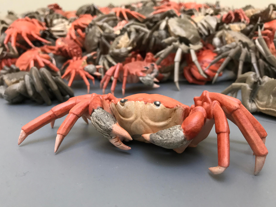 Oui Weiwei. Les crabes de rivière