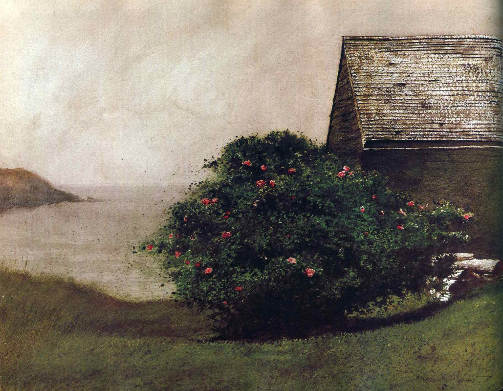 Jamie Wyeth. Rose Bush