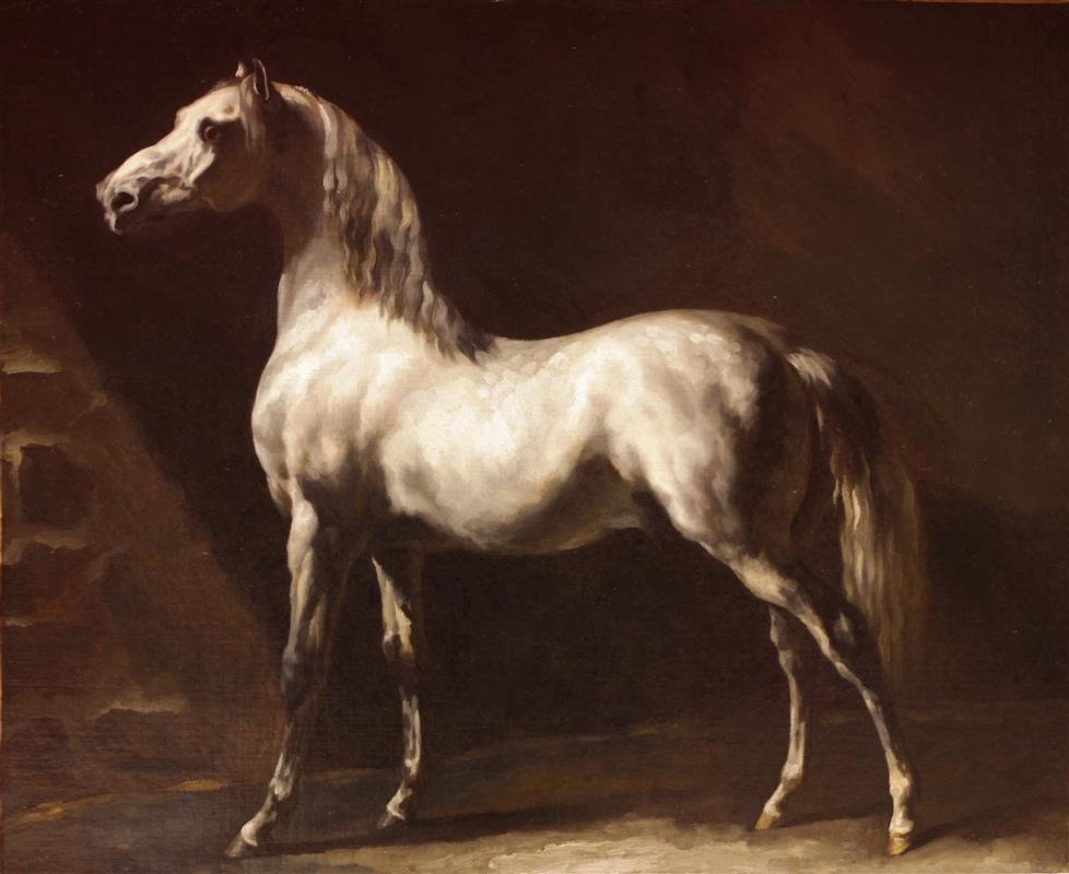 Théodore Géricault. Gray horse Etude