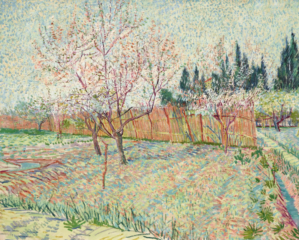 Вінсент Ван Гог. Фруктовый сад с персиковыми деревьями в цвету (Сад с кипарисами)