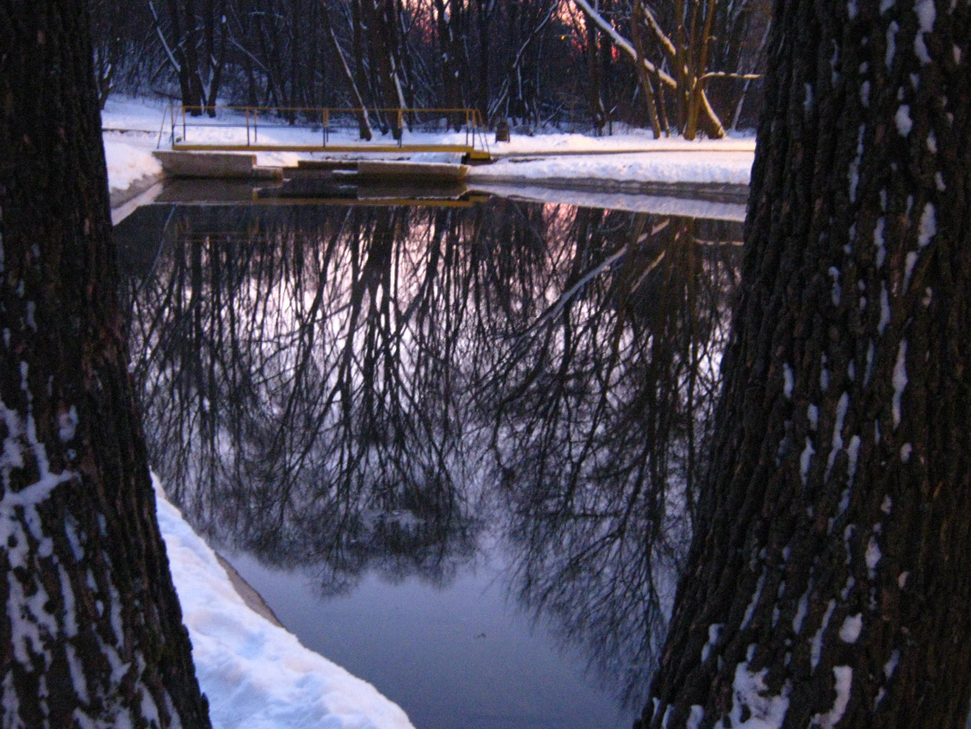 Alexey Grishankov (Alegri). "Winter lake"