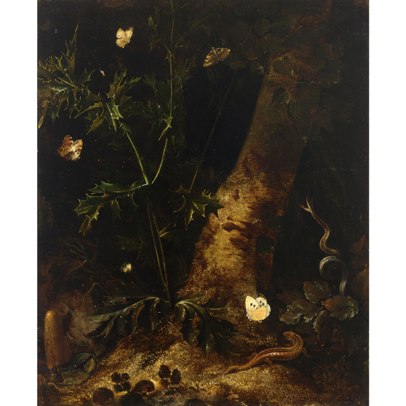 Otto Marceus van Scriec. Forest still life with salamander, snake and butterflies around the thistle