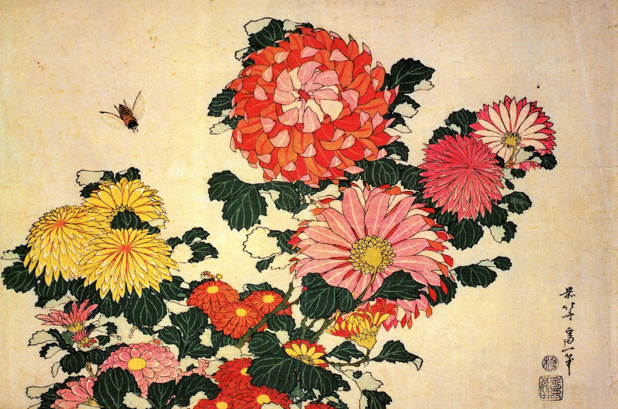 Кацусика Хокусай. Хризантемы и пчела