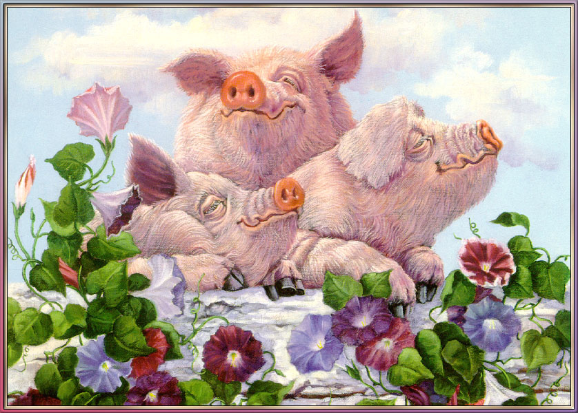 Joan Wright. Pigs