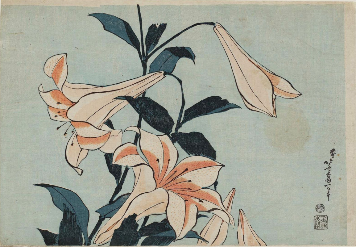 Katsushika Hokusai. Lily