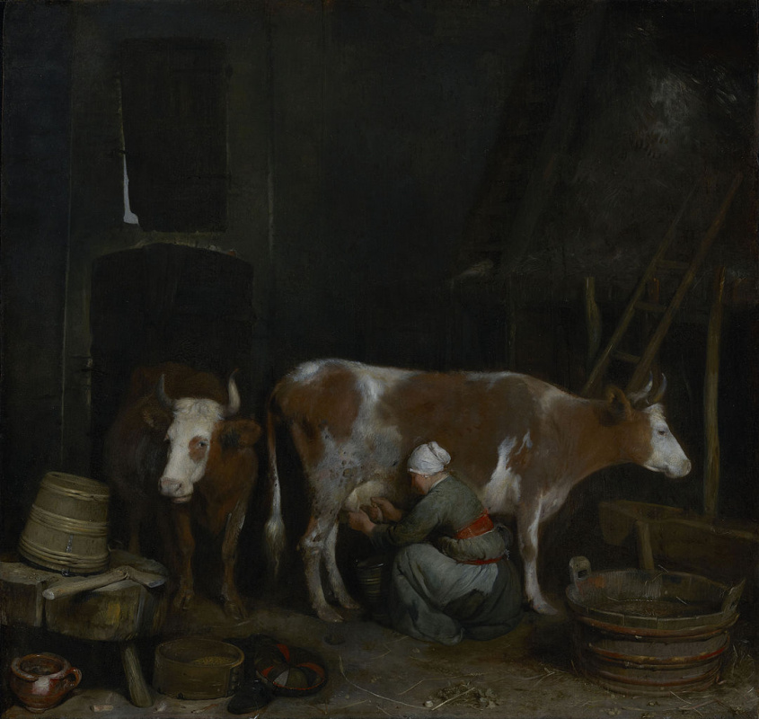 Gerard Terborch (ter Borch). The maid is milking a cow in the barn