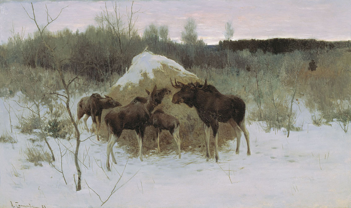 Alexey Stepanovich Stepanov. Moose