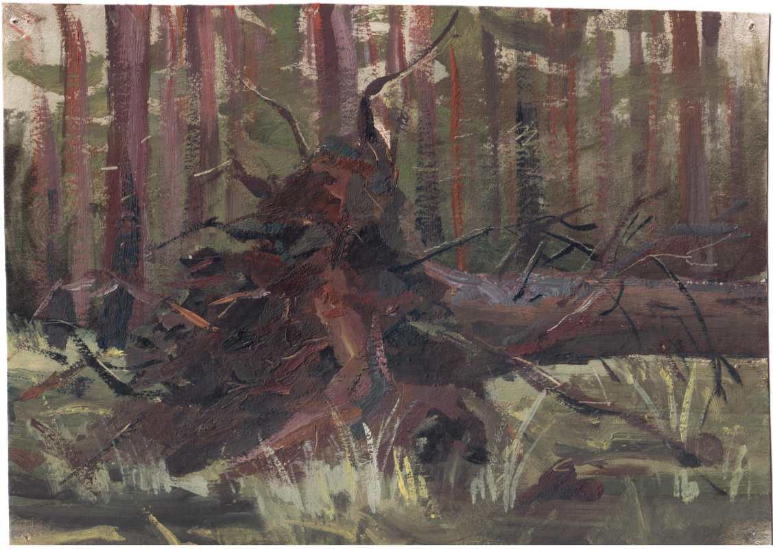 Arkady Pavlovich Laptev. The fallen pine