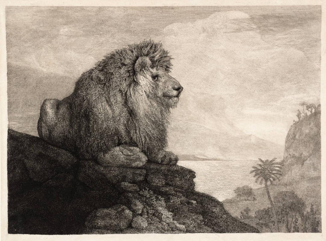 George Stubbs. Löwe ruht auf einem Felsen