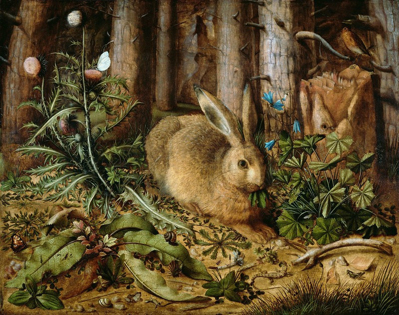 Hans Hoffmann. 野兔在森林里
