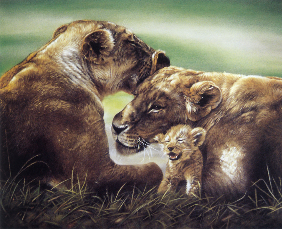 Лесли Харрисон. Африканские львы с детенышами