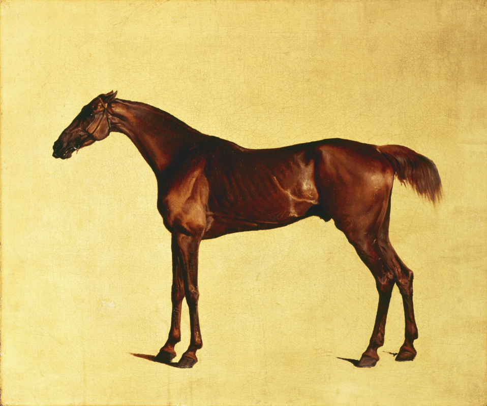 George Stubbs. Pangloss