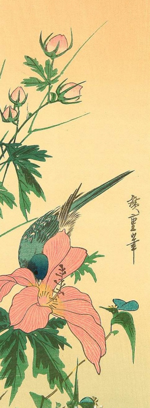 Utagawa Hiroshige. Blue bird drinking from a Bud of Chinese hibiscus