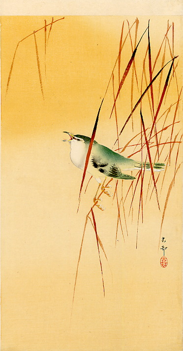 Ohara Koson. Birds 71