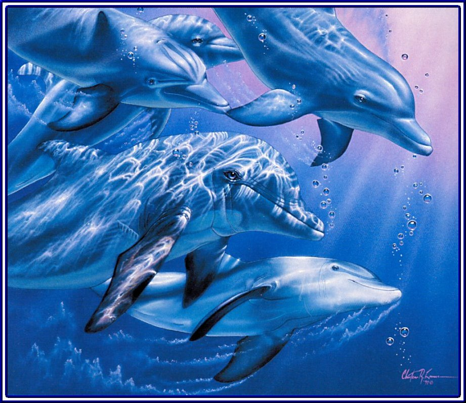 Christian Ries Lassen. Juegos de delfines