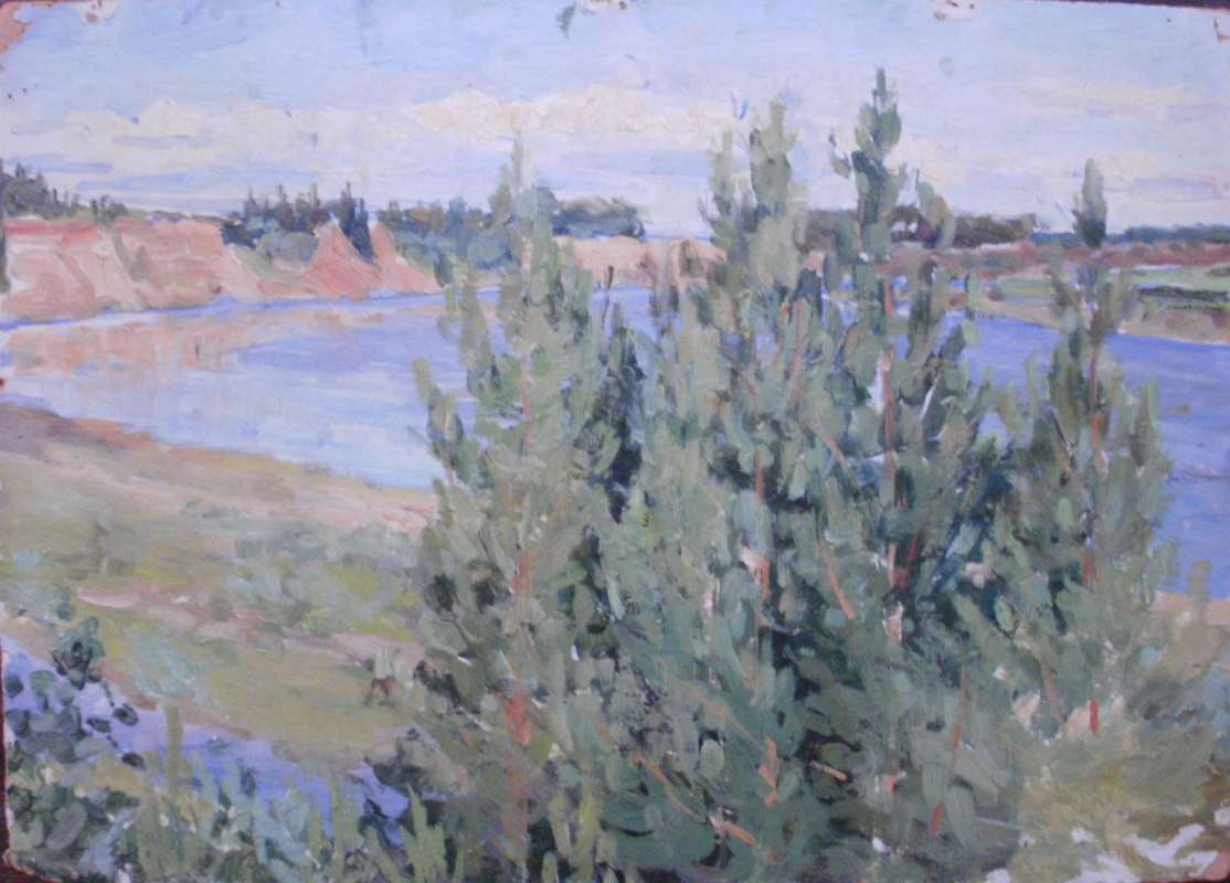 Nina Vasilievna Sedova. River bend
