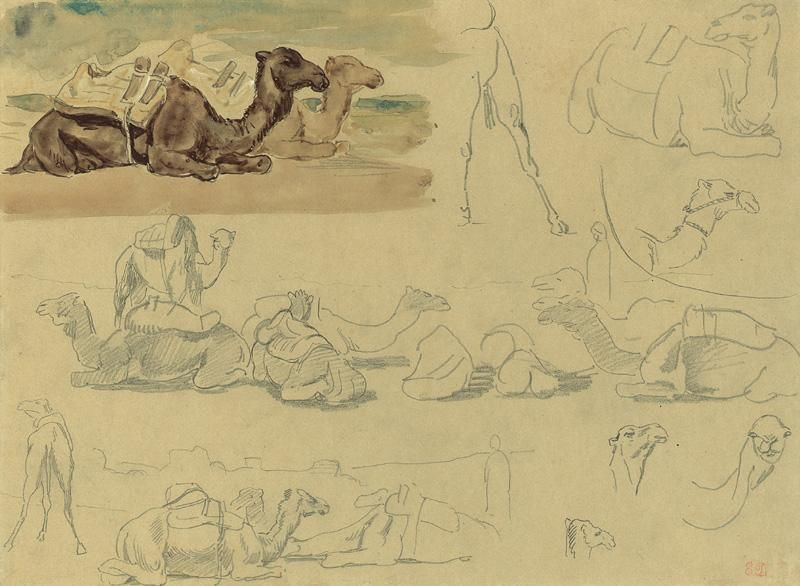 Eugene Delacroix. Sketch of camels