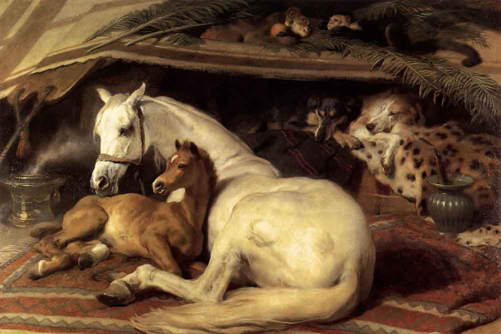 Edwin Henry Landseer. Horse