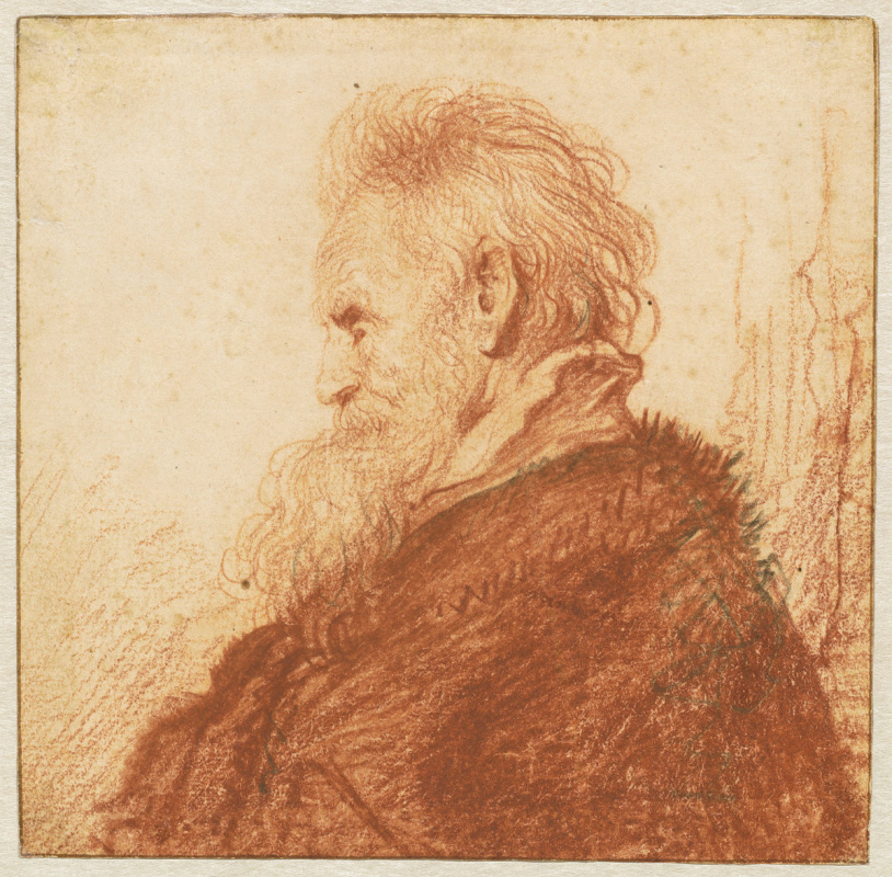 Rembrandt Harmenszoon van Rijn. Testa di Vecchio