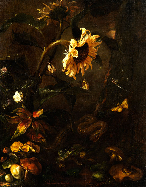 Otto Marceus van Scriec. Still life with sunflowers, snake and insects