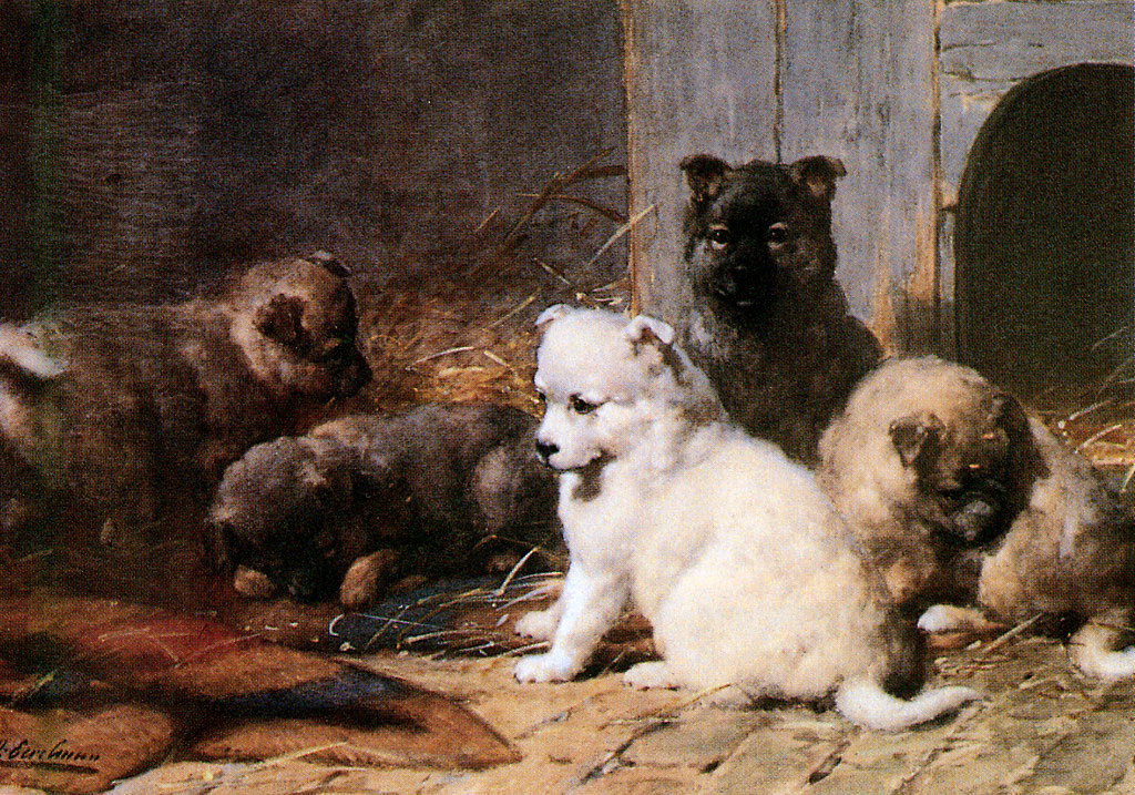 Otto Eerelman. Five little puppies