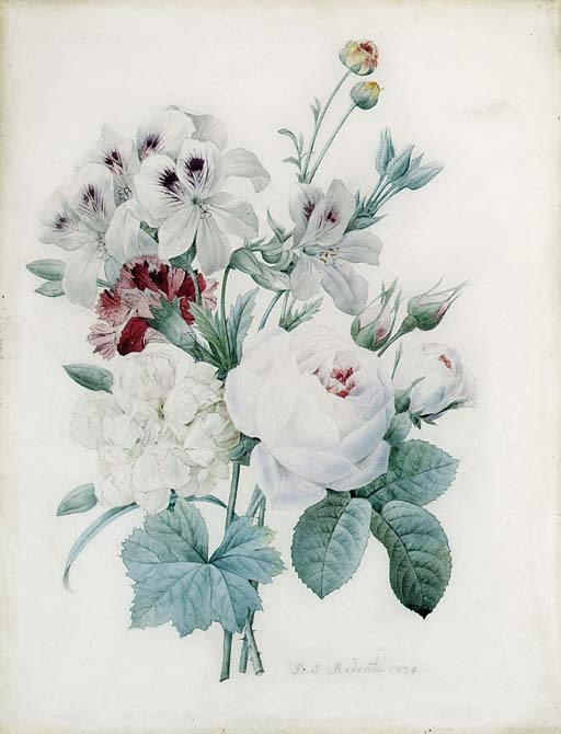 Pierre-Joseph Redoute. Bouquet: weiße Pfingstrose, Nelke und weiße Rosen