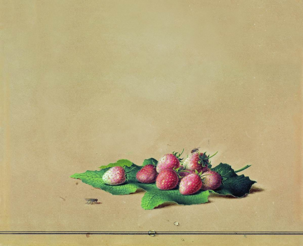 Fedor Petrovich Tolstoy. Strawberry
