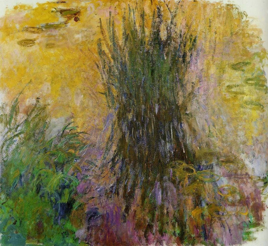 Claude Monet. Lirios de agua