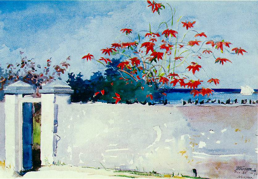 Winslow Homer. A Wall, Nassau