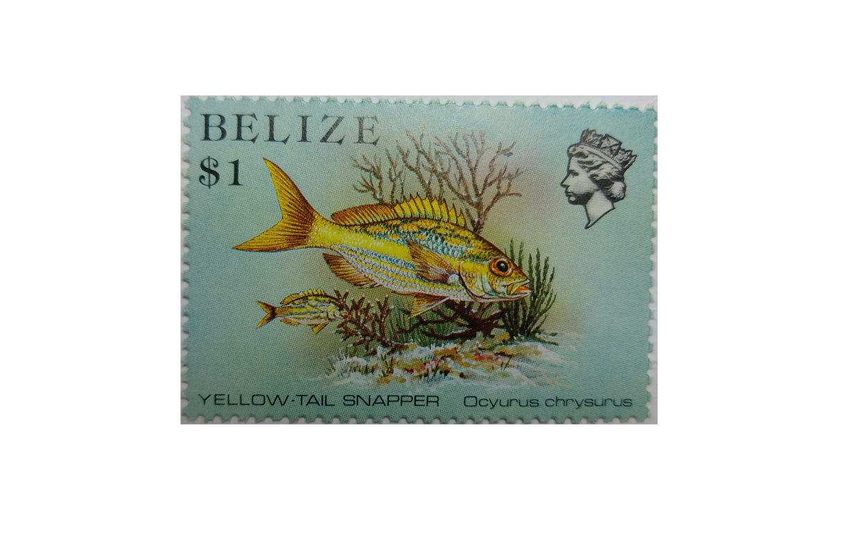 Arthur Gabdrupes. "Image": "Brand"; Mail: Belize. Archiv (z) (1)