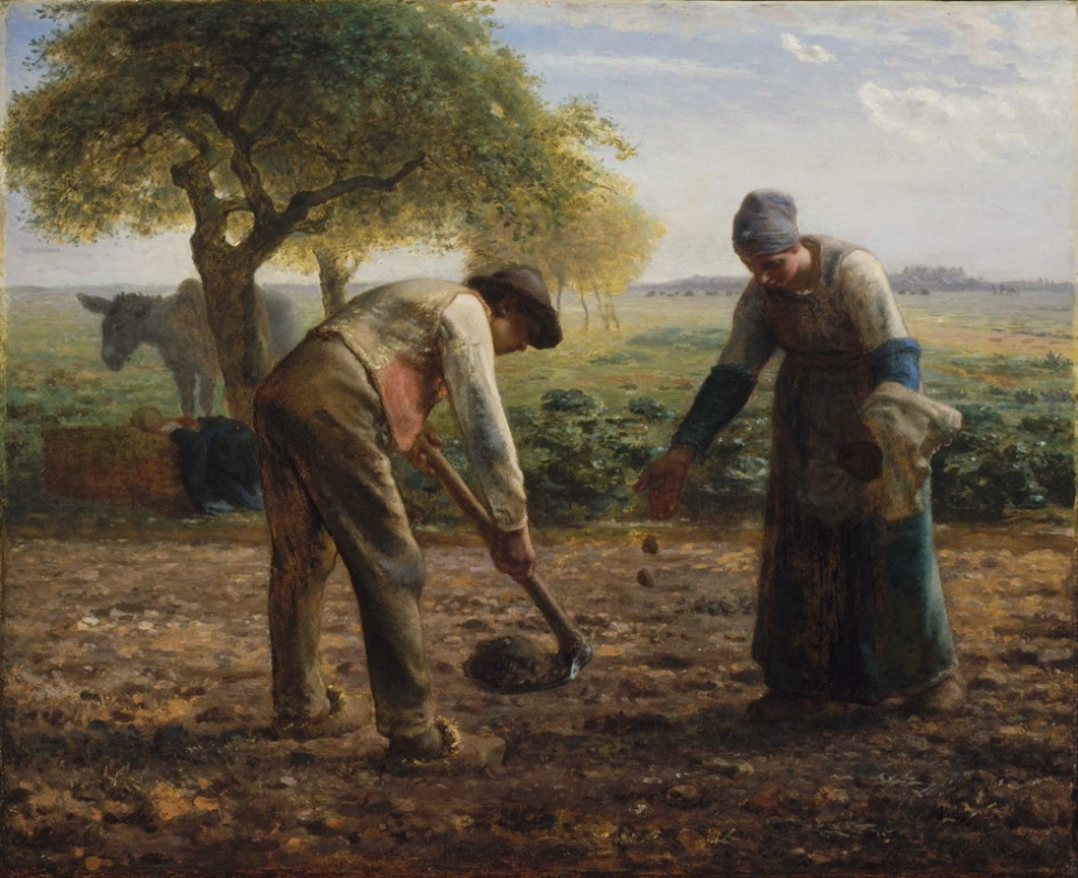 Peasants planting potatoes