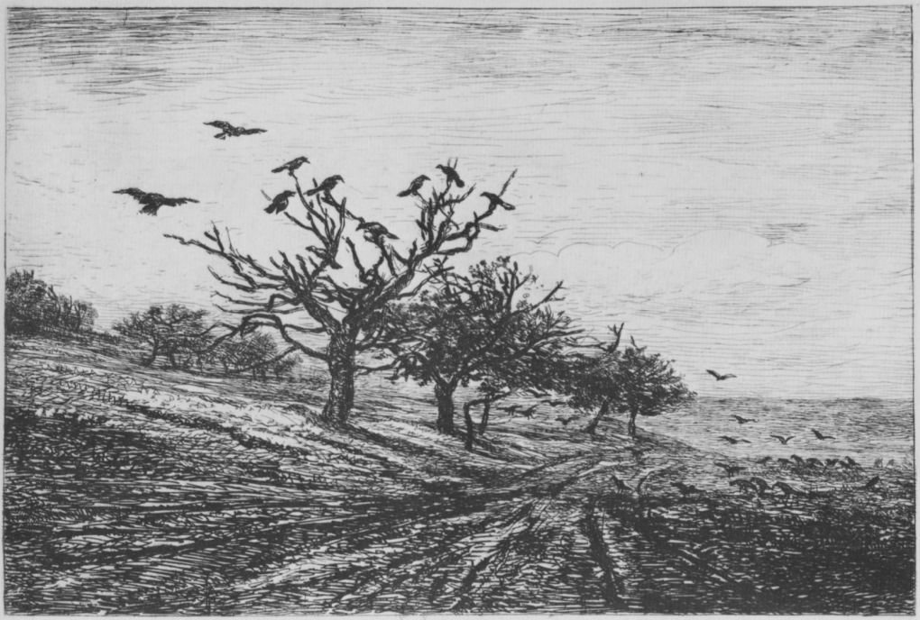 Charles-Francois Daubigny. Tree with crows